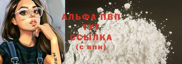 гашик Белокуриха