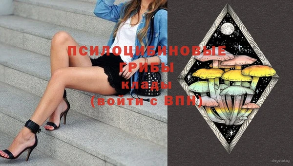 гашик Белокуриха