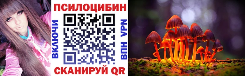 Купить закладки  Воткинск  Псилоцибиновые грибы мухоморы 